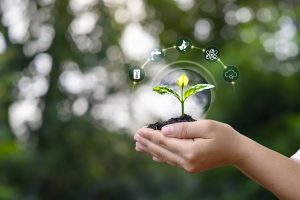 trees-growing-soil-human-hands-plant-growth-factors-icons-trees-earth-day-concept-300×200